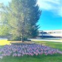 IMG_1398(2)-11