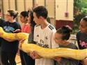 IMG_2073-4