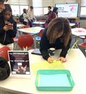 IMG_3402(3)-1