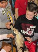 IMG_5061-8