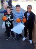 IMG_7284-6