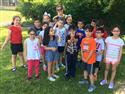 Ladybugs_1-7