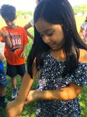 Ladybugs_2-1